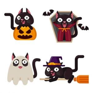 cat Halloween Costume